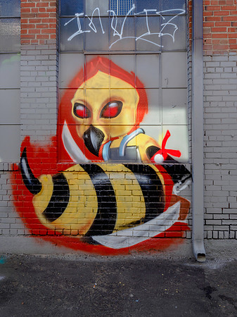 Denver Rhino Murals-12