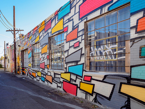 Denver Rhino Murals-17