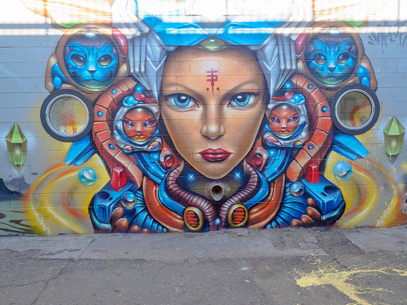 Denver Rhino Murals-11