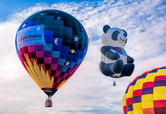 NJ Balloon Festival-21