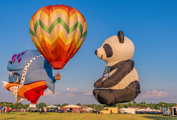 NJ Balloon Festival-10