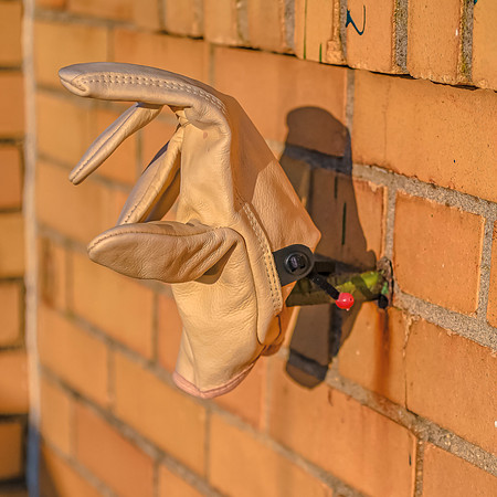 Glove