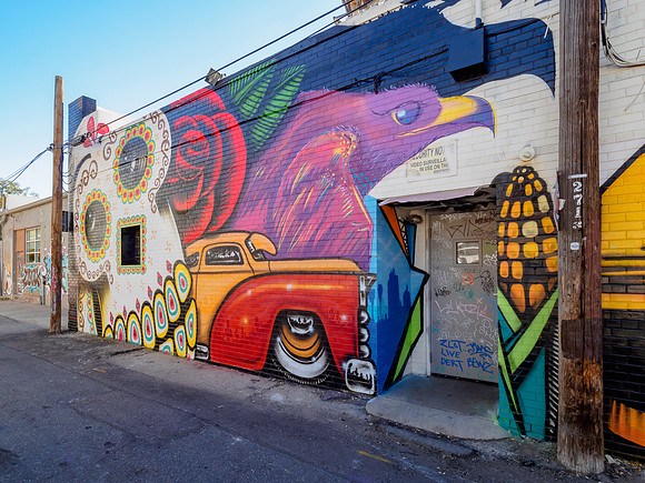 Denver Rhino Murals-18