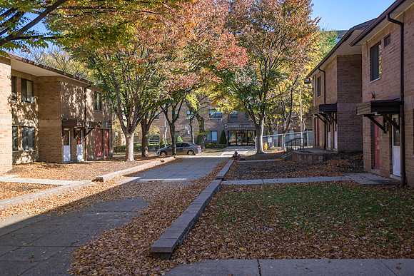 Triangle Village-44