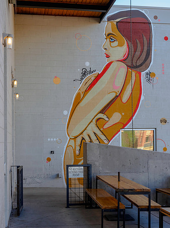 Denver Rhino Murals-1