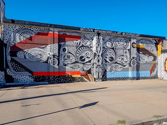 Denver Rhino Murals-28