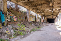 Rochester Abandoned Subway I