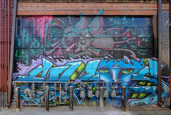 Denver Rhino Murals-29