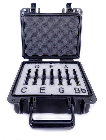 Product-Harmonica Case