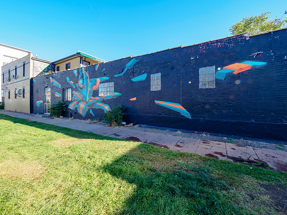 Denver Rhino Murals-13