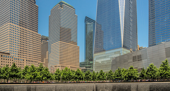 NYC Web-1
