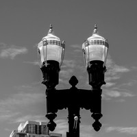 Jax StreetLight Closeup ACROS-R