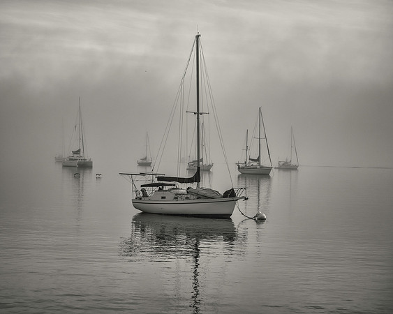 Blue Harbor B&W_20x16