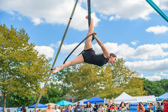 Boyd Park Festival 2018-59