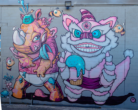 Denver Rhino Murals-8