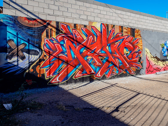 Denver Rhino Murals-19