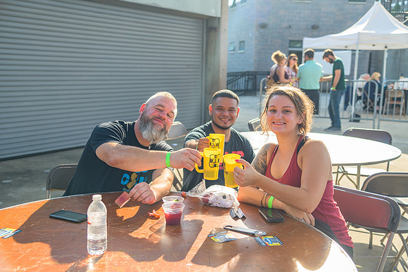Boyd Park Festival 2018-247
