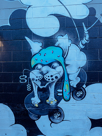 Denver Rhino Murals-2