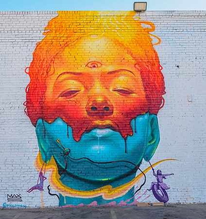 Denver Rhino Murals-5
