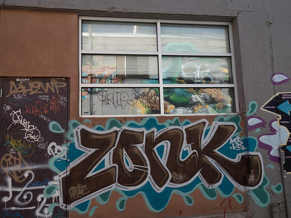 Denver Rhino Murals-21
