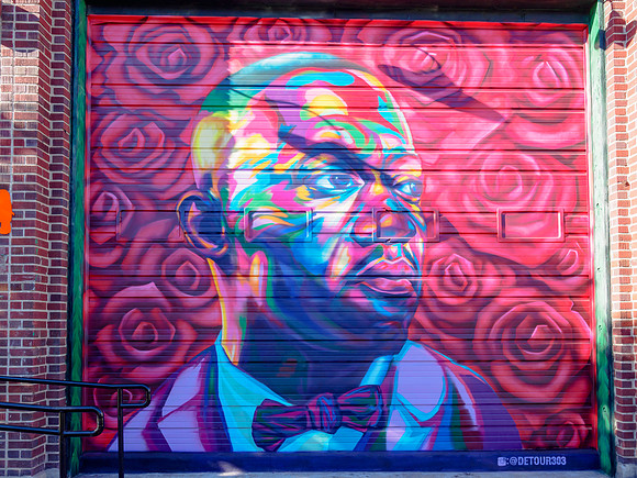 Denver Rhino Murals-14