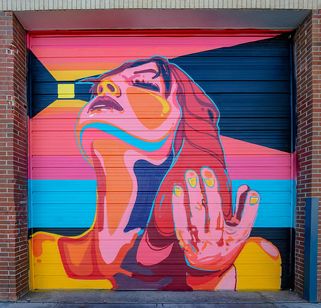Denver Rhino Murals-25