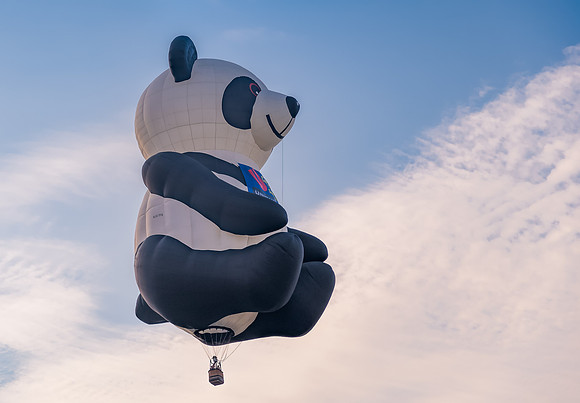 NJ Balloon Festival-20
