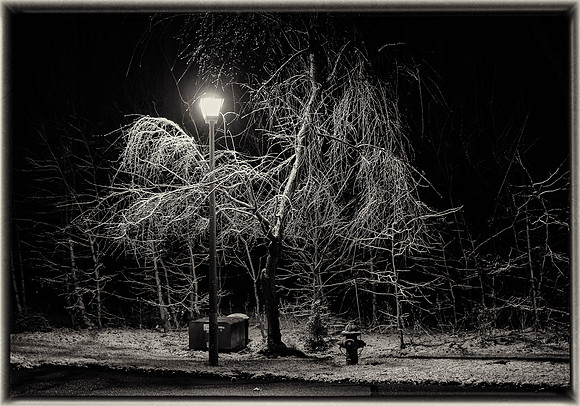 First Snow 2020-1