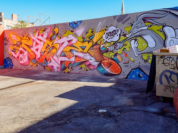 Denver Rhino Murals-16