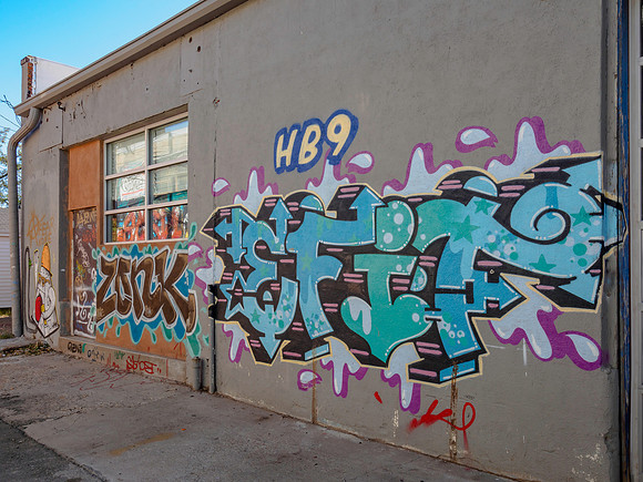 Denver Rhino Murals-20