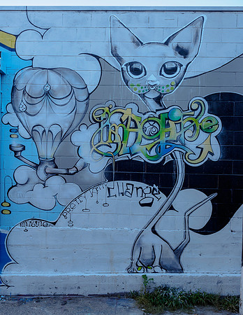 Denver Rhino Murals-3