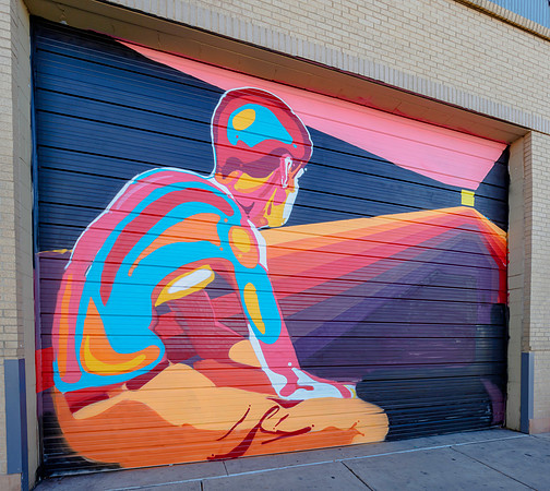 Denver Rhino Murals-24
