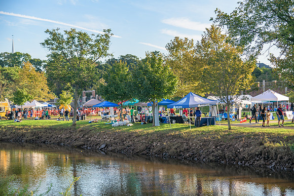 Boyd Park Festival 2018-318