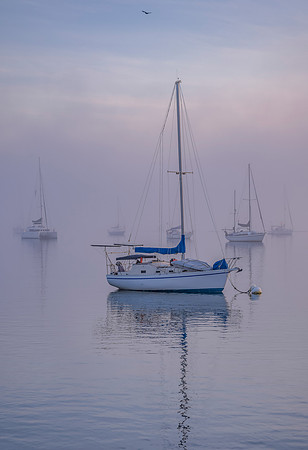 Blue Harbor #1_13x19
