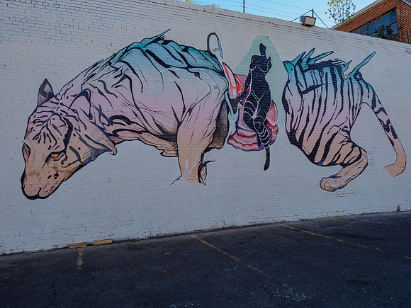 Denver Rhino Murals-6